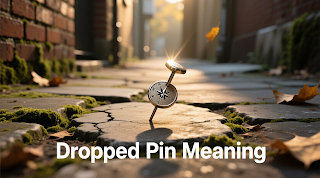 नक्शे पर एक लाल रंग का ड्रॉप किया हुआ पिन।